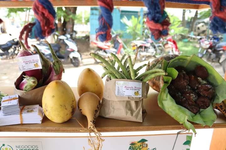 ¡así Finalizó Nuestra Feria De Negocios Verdes 0708