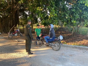 Operativos de control al tr&aacute;fico ilegal de fauna y flora silvestre