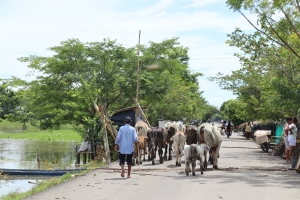 &iexcl;La Mojana necesita de tu ayuda!