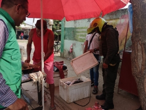 &iexcl;S&aacute;bado de educamos por el ambiente!