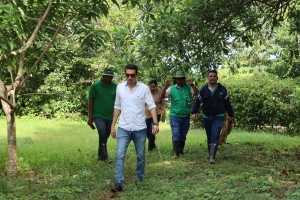 𝟕𝟑 𝐂𝐚𝐢𝐦𝐚𝐧𝐞𝐬 𝐂𝐫𝐨𝐜𝐨𝐝𝐫y𝐥u𝐬 𝐚𝐜𝐮𝐭𝐮𝐬 𝐬𝐞 𝐟𝐮𝐠𝐚𝐫𝐨𝐧 𝐝𝐞 𝐥𝐚 𝐄𝐬𝐭𝐚𝐜𝐢&oacute;𝐧 𝐄𝐱𝐩𝐞𝐫𝐢𝐦𝐞𝐧𝐭𝐚𝐥 𝐂𝐑𝐎𝐂𝐑𝐎𝐃𝐘𝐋𝐈𝐀 𝐝𝐞 𝐂𝐎𝐑𝐏𝐎𝐌𝐎𝐉𝐀𝐍𝐀.