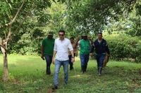 𝟕𝟑 𝐂𝐚𝐢𝐦𝐚𝐧𝐞𝐬 𝐂𝐫𝐨𝐜𝐨𝐝𝐫y𝐥u𝐬 𝐚𝐜𝐮𝐭𝐮𝐬 𝐬𝐞 𝐟𝐮𝐠𝐚𝐫𝐨𝐧 𝐝𝐞 𝐥𝐚 𝐄𝐬𝐭𝐚𝐜𝐢&oacute;𝐧 𝐄𝐱𝐩𝐞𝐫𝐢𝐦𝐞𝐧𝐭𝐚𝐥 𝐂𝐑𝐎𝐂𝐑𝐎𝐃𝐘𝐋𝐈𝐀 𝐝𝐞 𝐂𝐎𝐑𝐏𝐎𝐌𝐎𝐉𝐀𝐍𝐀.