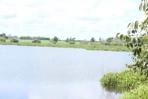 Altas Temperaturas afectan a los habitantes de la regi&oacute;n Mojana